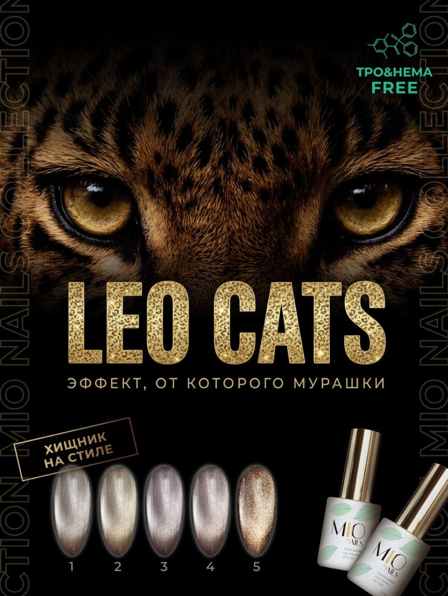 photo_2026-02-10_17-47-51