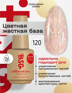 Chard120