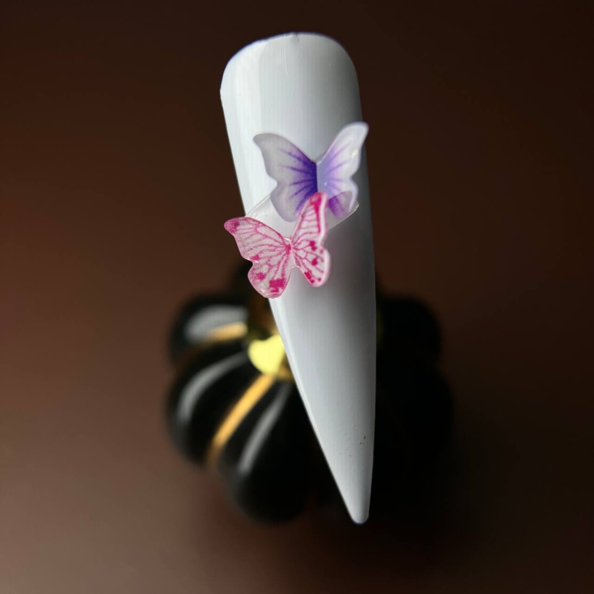 photo_2025-11-20_17-07-13