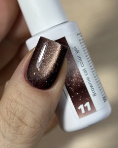 brownie 11 3