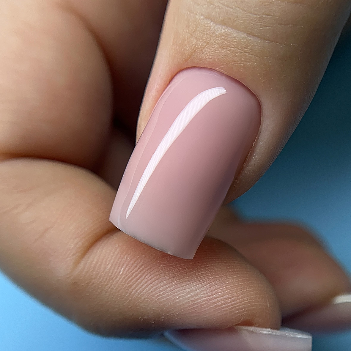 BSG Высокая вязкость Confiture gel №15 13g,2