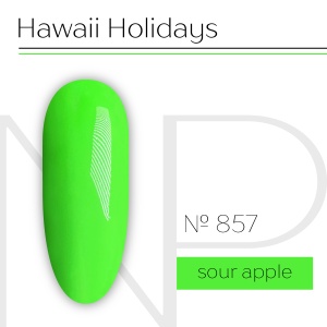 NP Nartist Гель-лак №0857 10 мл.