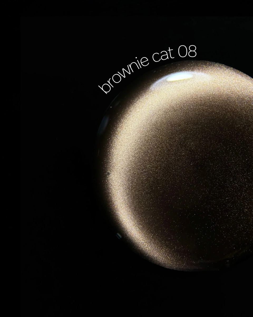 brownie 08