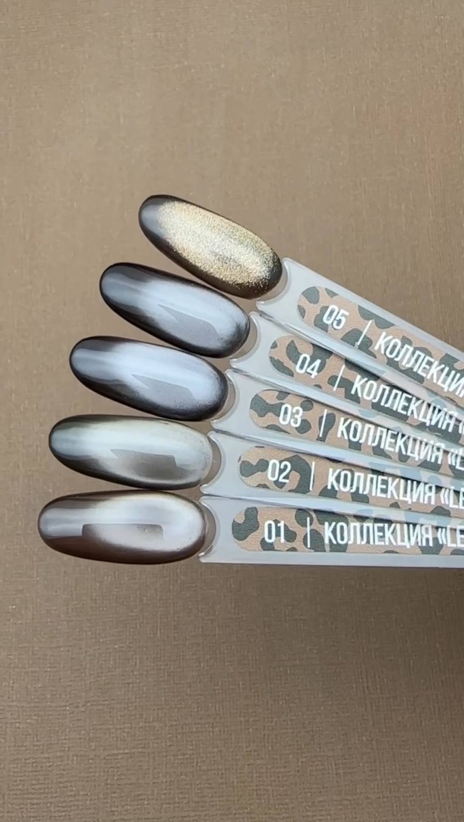 photo_2026-02-17_10-35-20