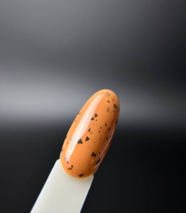 Ingarden-Jungle-10-2