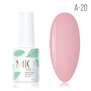 A-20