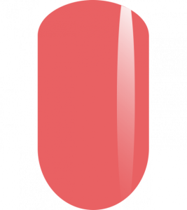 onestepnew10