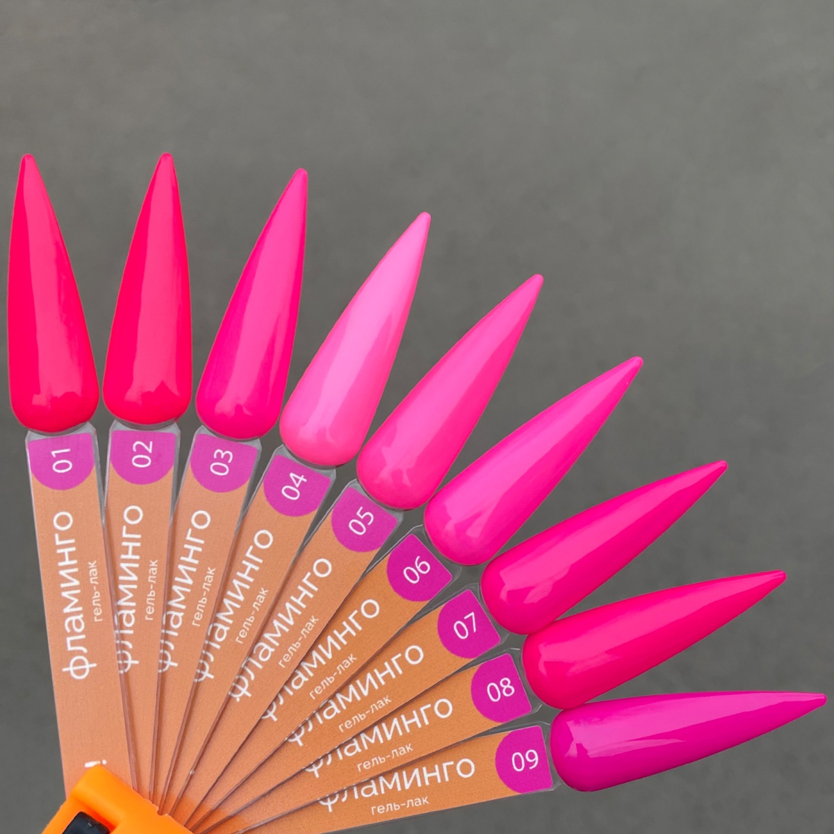 whjiaqlx79fb3r3yxb1fgywue4t20ncf